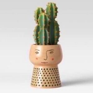 Target Opalhouse Planter